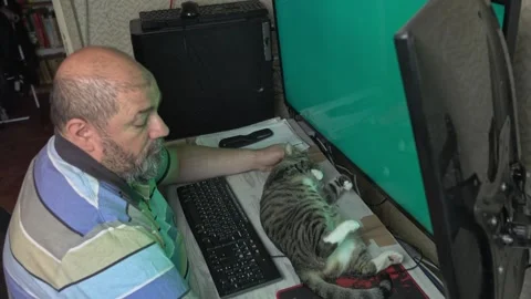 Contented Cat Stretched Out Next to Computer Keyboard Stock Footage 336542095