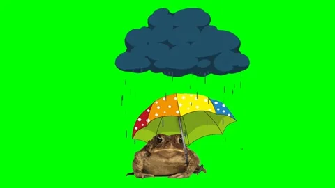 Contented toad in the rain. Video stock 134973123