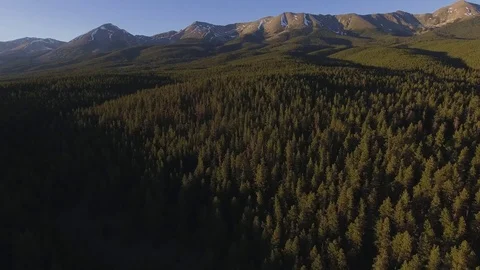 Continental Divide Forest Stock Footage 77350568