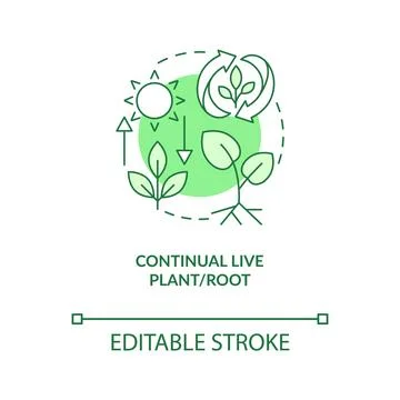 Continual live plant and root green concept icon Stock Illustration