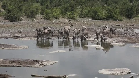 Continuation drinking; steady tableau — Part 10 Stock Footage 320845720