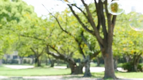 Continuous colorful soap bubbles  floating in green park, slow motion Stock Footage 79550226
