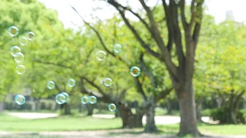 Continuous colorful soap bubbles  floating in green park, slow motion Stock Footage 220542611