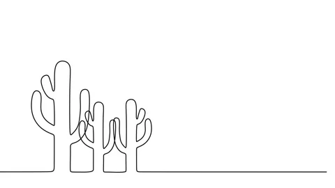 Continuous drawing line art of cactus tree with black line and white backgrou Stock Footage 157038183