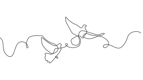 Continuous drawing line art of dove with black line and white background. One Stock Footage 157060570