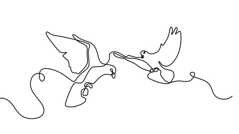 Continuous drawing line art of dove with black line and white background. One Stock Footage 157060650