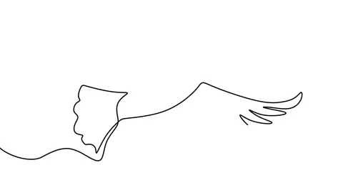 Continuous drawing line art of dove with black line and white background. One Stock Footage 169518022