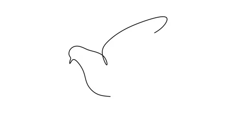 Continuous drawing line art of dove with black line and white background. One Stock Footage 169532539