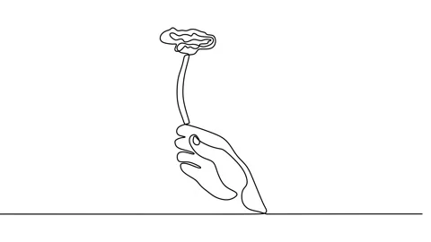 Continuous drawing line art of flower hand with black line and white backgrou Stock Footage 158135357