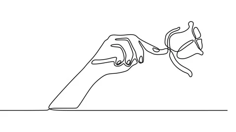 Continuous drawing line art of flower hand with black line and white backgrou Stock Footage 158135863