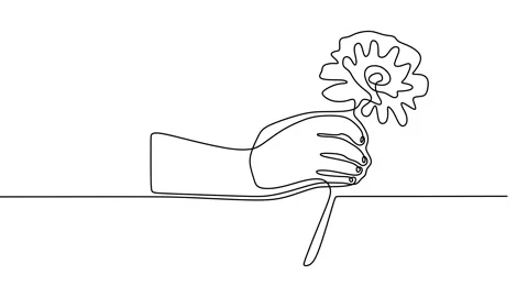 Continuous drawing line art of flower hand with black line and white backgrou Stock Footage 158135975