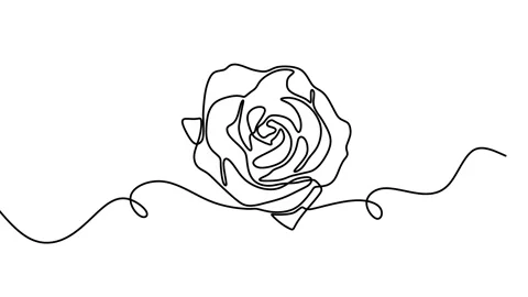 Continuous drawing line art of flower with black line and white background. O Stock Footage 158136594