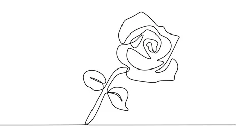Continuous drawing line art of flower with black line and white background. O Vidéo 158136976