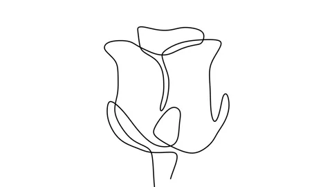 Continuous drawing line art of flower with black line and white background. O Stock Footage 158137228