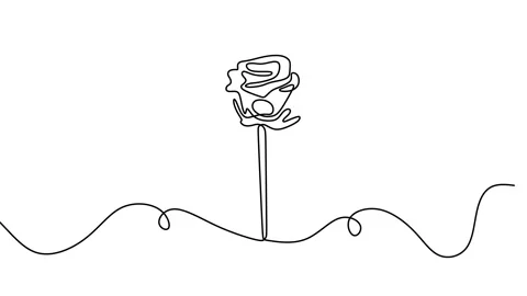 Continuous drawing line art of flower with black line and white background. O Stock Footage 158137419