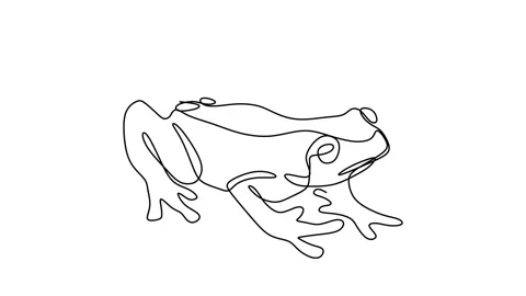 Continuous drawing line art of frog with black line and white background. One Stock Footage 157046849