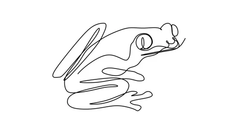 Continuous drawing line art of frog with black line and white background. One Stock Footage 157047756