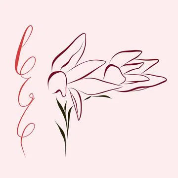 Continuous drawing of lines. Linear tulip, magnolia. minimalistic Stock Illustration