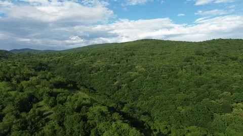 Continuous Drone Flight Over Golden Forested Hills at Sunset, Okatse Canyon Stock Footage 339355215