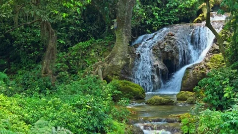 Continuous Flowing Forest Waterfall in Cao Bang Vietnam Wide Shot 스톡 동영상 344016012