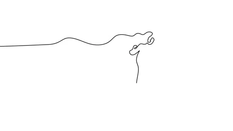 Continuous line animation women doing hula hoop Stock Footage 227548035
