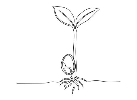 Continuous line art of a sprouting seedling with roots and leaves growing f.. Stock Illustration