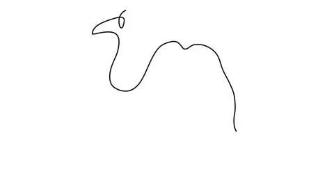 Continuous line. The camel is walking in the desert. Drawing by hand with a  Stock Footage 143389805