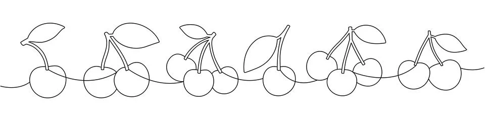 Continuous line cherry pattern design with multiple fruits and leaves. Minimal Stock Illustration