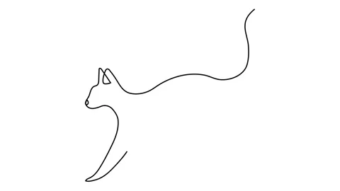 Continuous line curving cat. New minimalism. Vector illustration Stock Footage 143309792