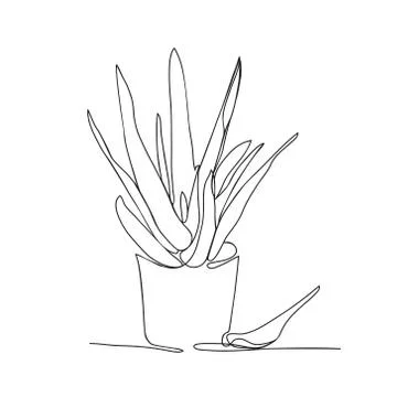 Continuous line drawing Aloe vera in the pot Stock Illustration