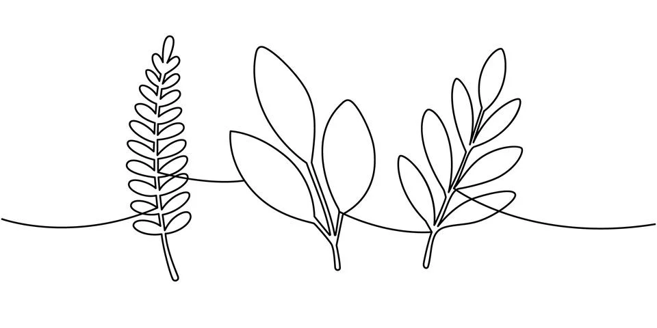 Continuous line drawing of assorted tropical leaves. Minimalist botanical art Stock Illustration
