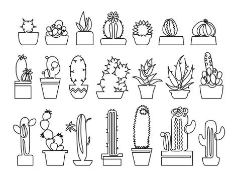 Continuous line drawing of Cactus and succulent icons set. Illustrazione stock