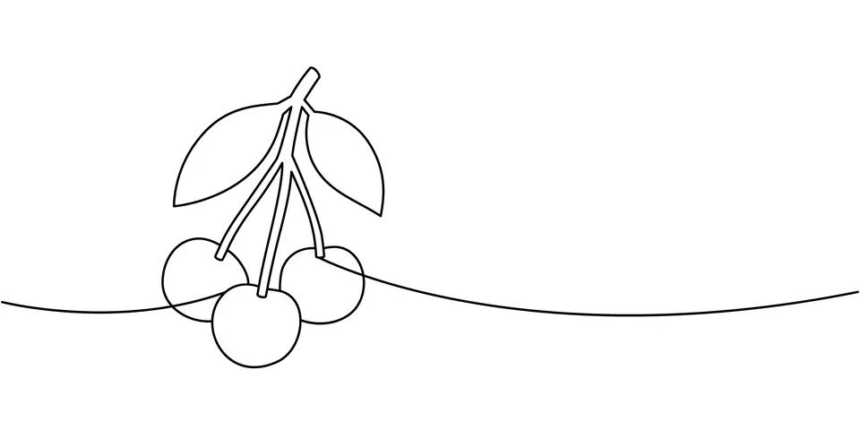 Continuous line drawing of cherries on stem with leaves. Minimal one line vector Stock Illustration