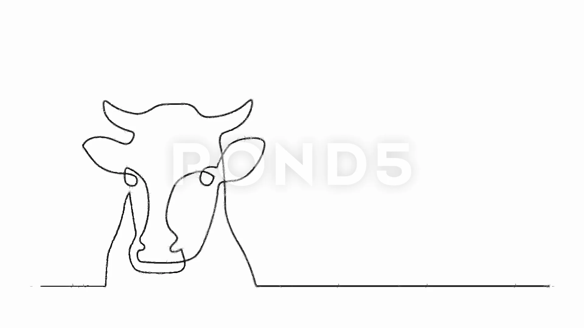 Continuous Line Drawing Of Cow Stock Video Pond5