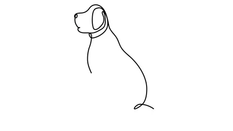 Continuous line drawing of cute dog Stock Footage 143706897