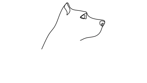 Continuous line drawing Dog posing, hand drawn minimalist style concept Pet frie 스톡 동영상 146714964
