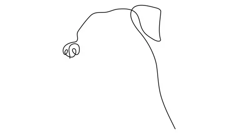 Continuous line drawing Dog posing, hand drawn minimalist style concept Pet frie 스톡 동영상 146714969