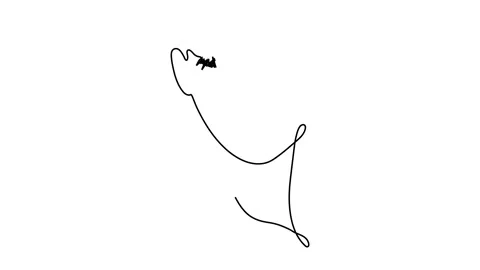 Continuous line drawing face and eyelashes fashion concept woman minimalist beau Stock Footage 143309789