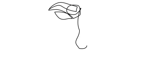 Continuous line drawing face concept fashion men beauty minimalistic vector Stock Footage 147971982