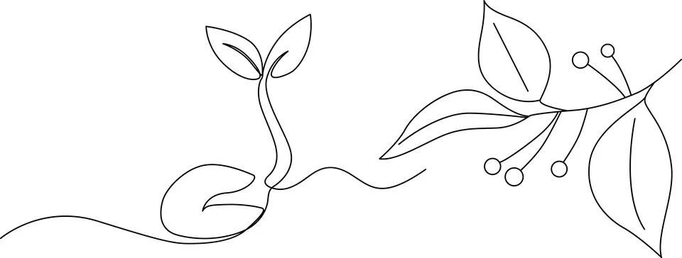 Continuous line drawing of a germinating seed growing into a plant next to .. Stock Illustration