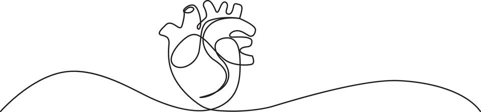 Continuous line drawing of human heart Illustrazione stock