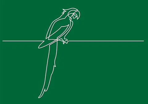 Continuous line drawing of isolated vector object - parrot 스톡 일러스트