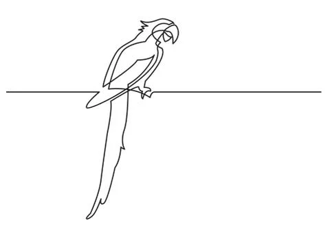 Continuous line drawing of isolated vector object - parrot 스톡 일러스트