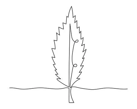 Continuous line drawing of leaf. One editable stroke on white background. N.. 스톡 일러스트