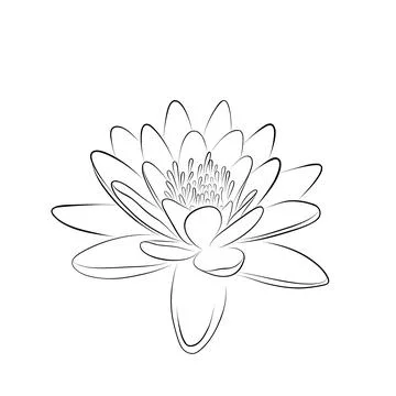 Continuous line drawing. line art lotus Vector Minimalistic Stock Illustration