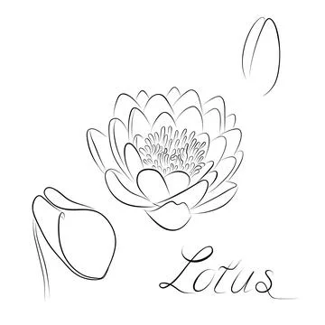Continuous line drawing. line art lotus Vector Minimalistic mid-century desig Stock Illustration