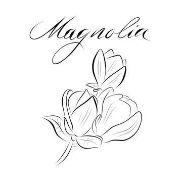 Continuous line drawing. line art magnolia Vector Minimalistic mid-century .. Stock Illustration