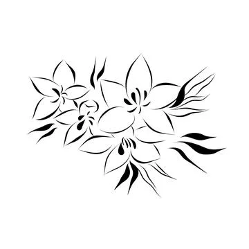 Continuous line drawing. line art flowers Vector Minimalistic Stock Illustration