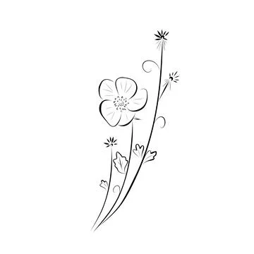 Continuous line drawing. line art flowers Vector Minimalistic Stock Illustration