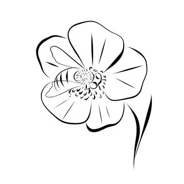 Continuous line drawing. line art flower with bee Vector Stock Illustration